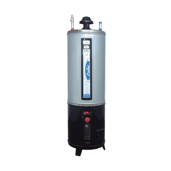 Fischer Deluxe Model Electric and Gas Heater